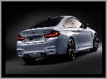 BMW f82 Seria 4, BMW Seria M